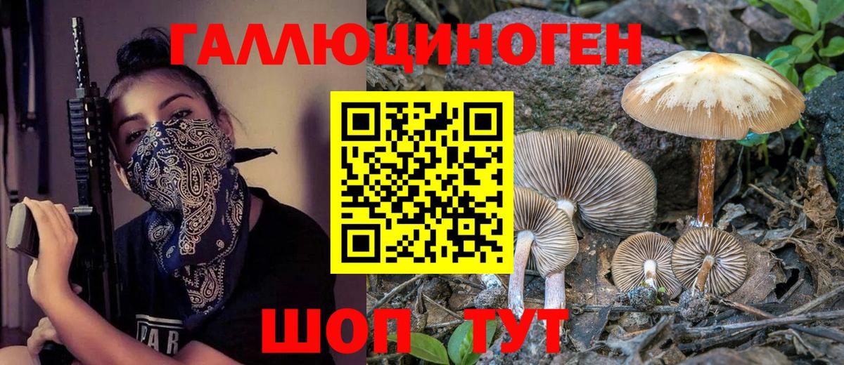Галлюциногенные грибы ЛСД  Вход с VPN  Галлюциногенные грибы Magic Shrooms  Кингисепп 